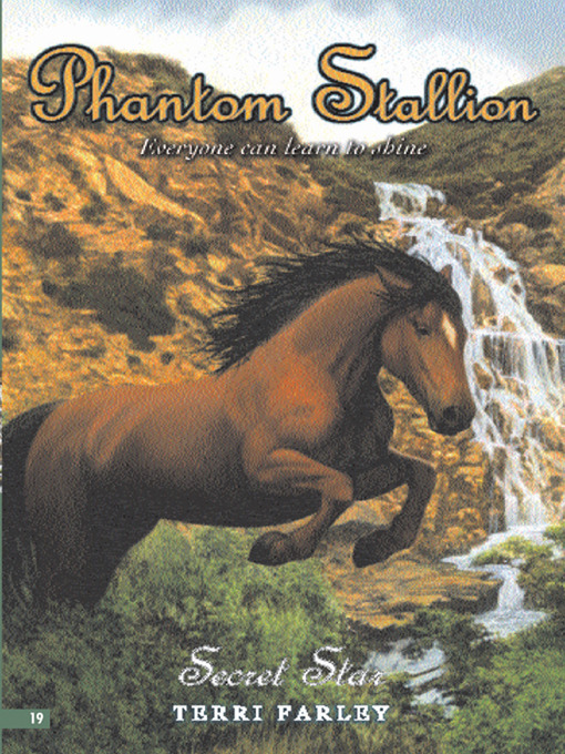 Cover image for Secret Star